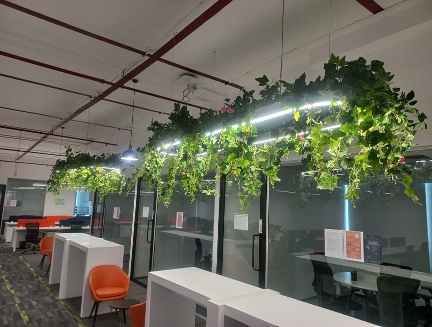 Greenscape Creation